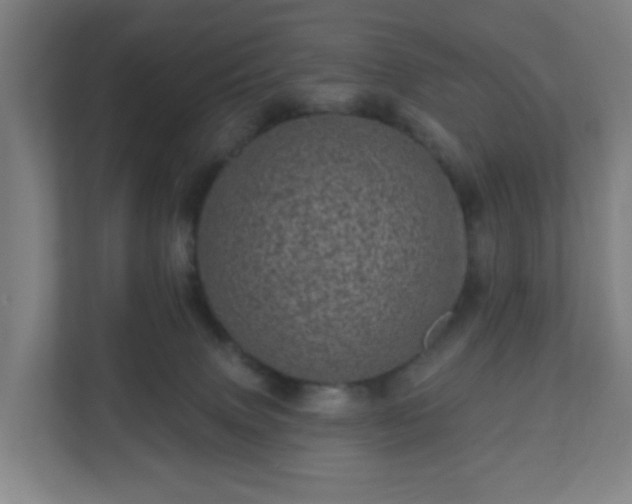 X0000110880083200906251257