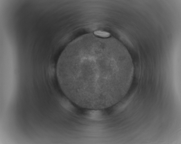 X0000110880085200906251257