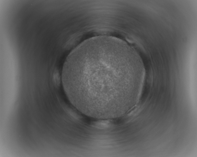 X0000110880086200906251257