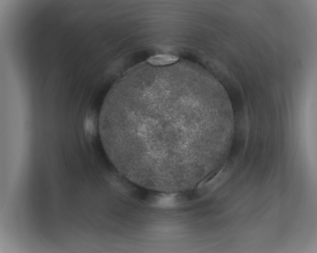 X0000110880090200906251257