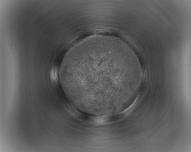 X0000110880094200906251257
