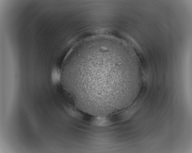 X0000110880095200906251257