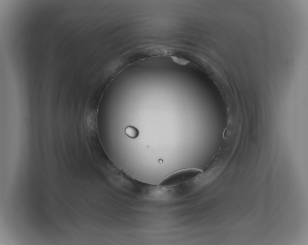 X0000110880096200906251257