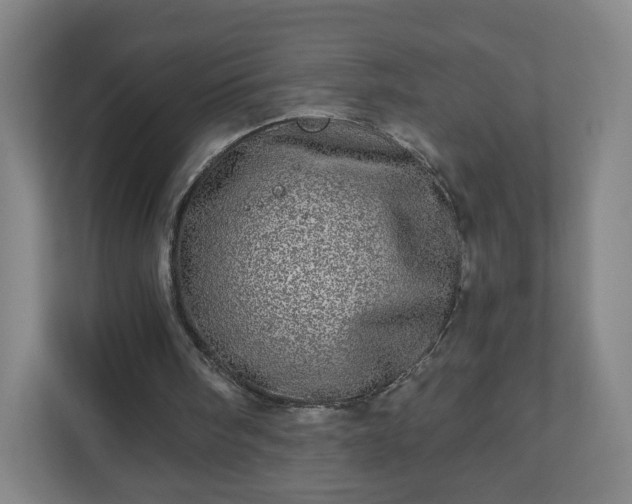 X0000110880098200906251257