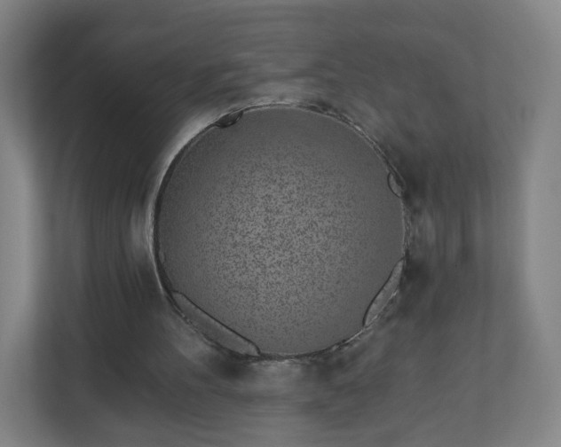 X0000110880100200906251257