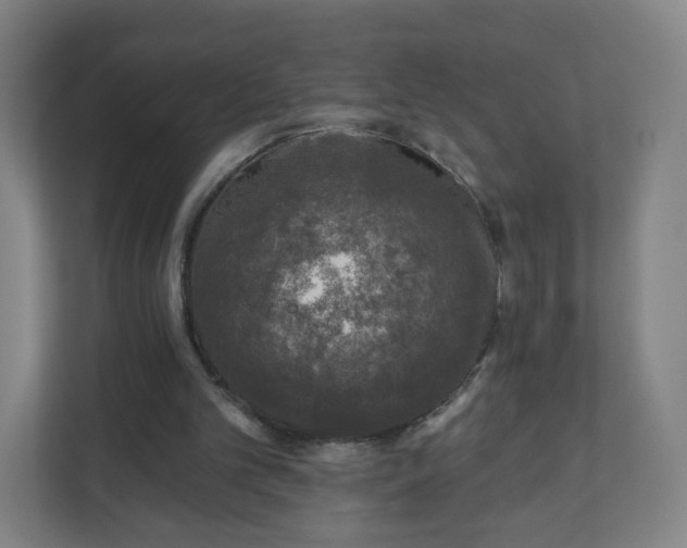 X0000110880101200906251257