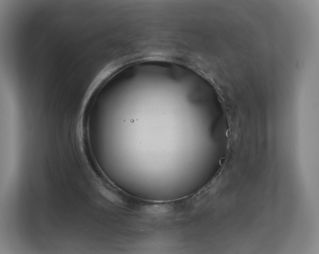 X0000110880102200906251257