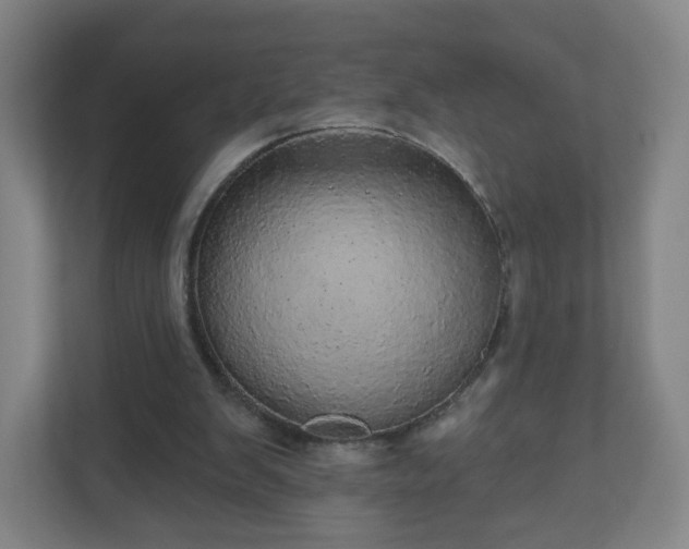 X0000110880103200906251257