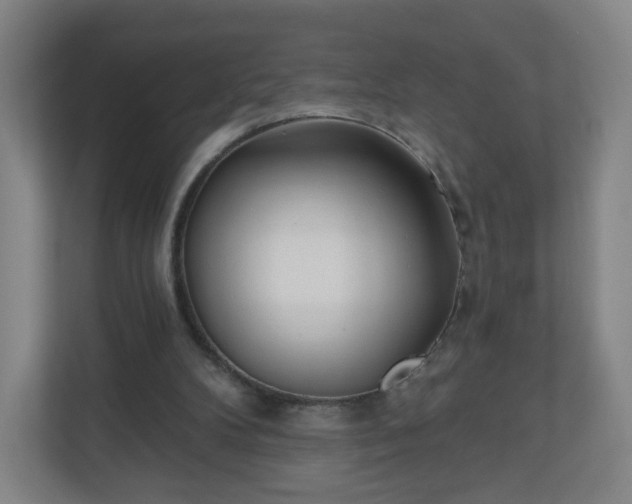 X0000110880104200906251257