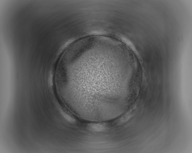 X0000110880106200906251256