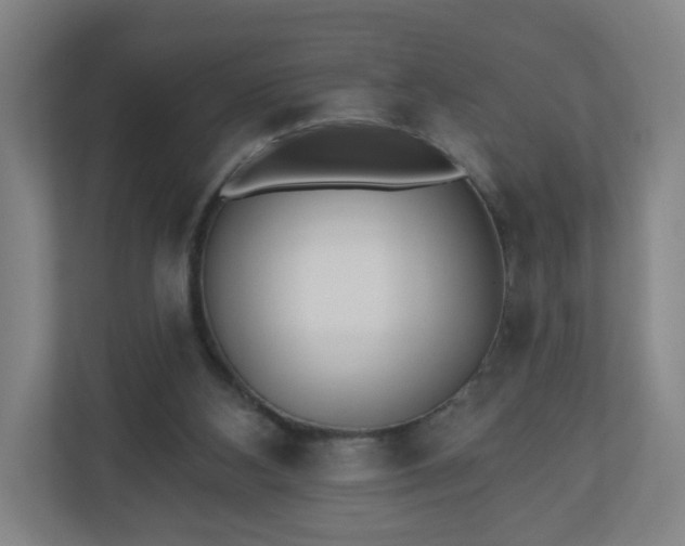 X0000110880108200906251256