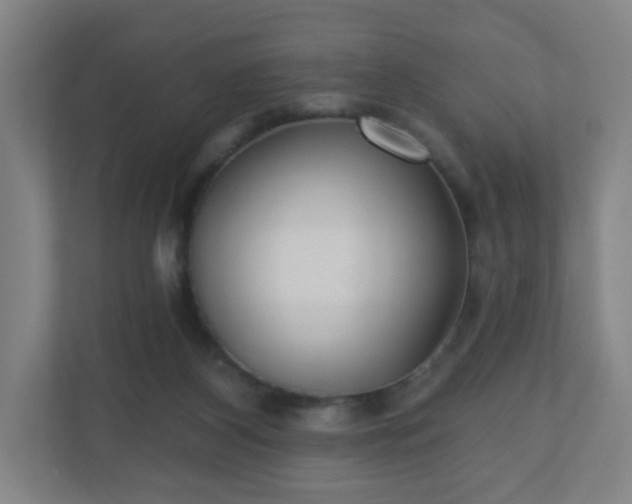 X0000110880116200906251256