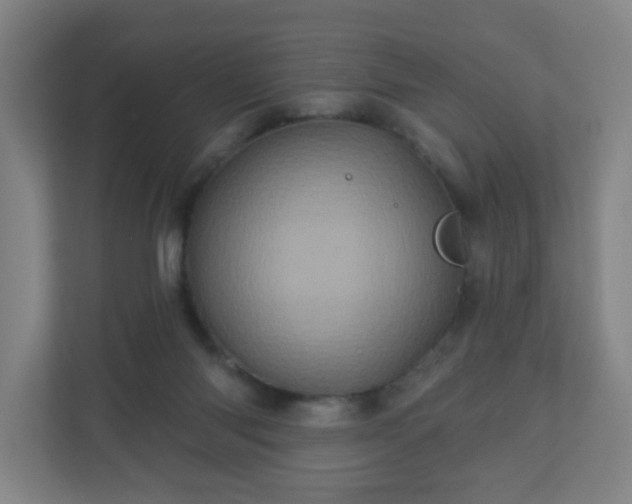 X0000110880118200906251256