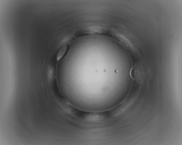 X0000110880123200906251256