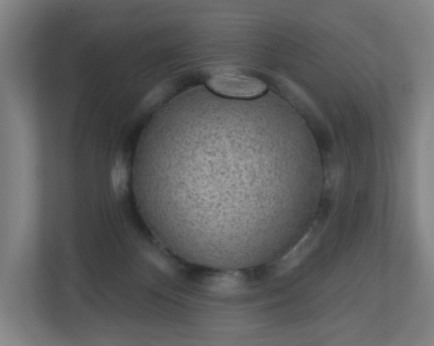 X0000110880124200906251256
