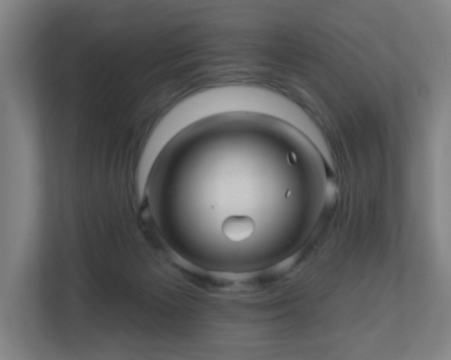 X0000110880125200906251256