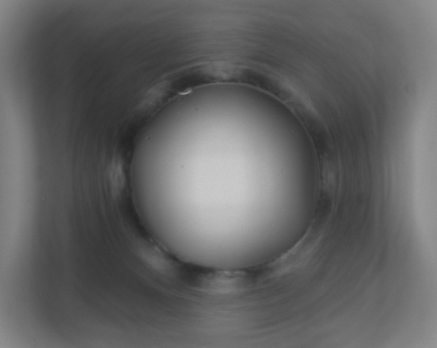 X0000110880128200906251256