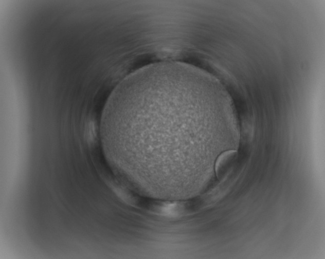 X0000110880130200906251256
