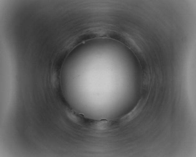 X0000110880136200906251256