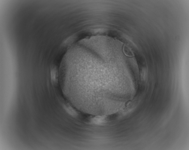 X0000110880138200906251256