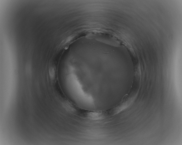X0000110880139200906251256