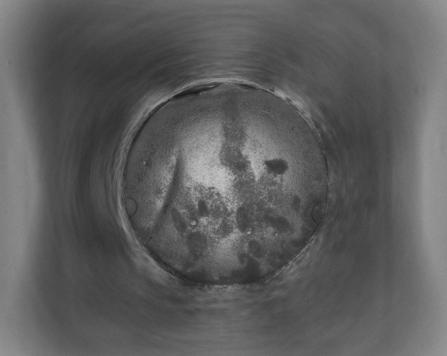 X0000110880145200906251255