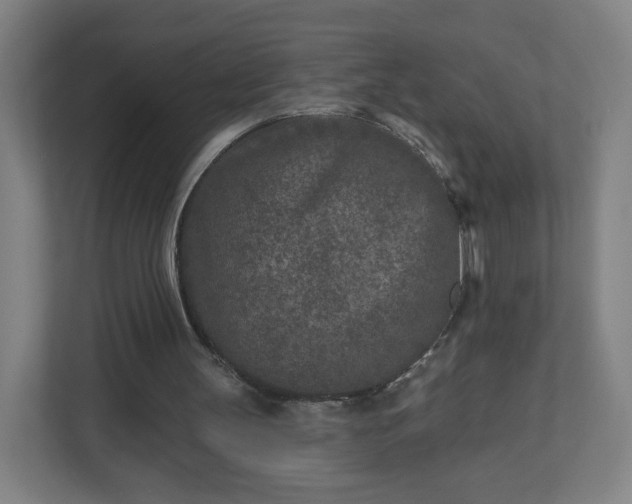 X0000110880147200906251255