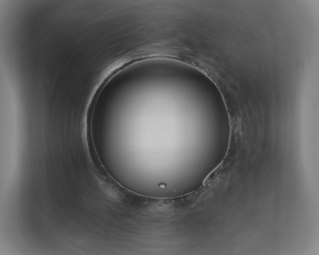 X0000110880148200906251255