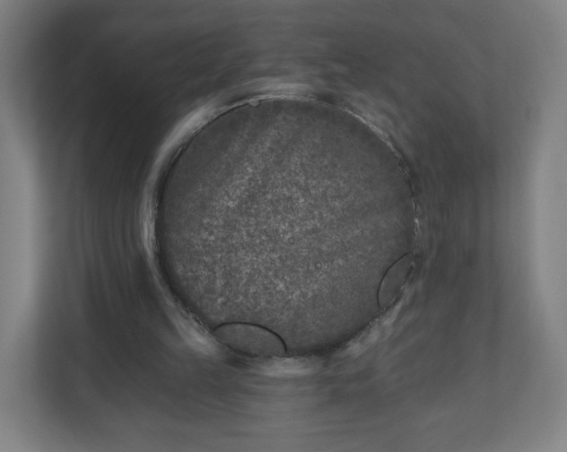 X0000110880149200906251255