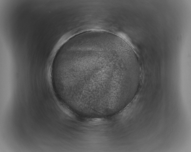 X0000110880151200906251255