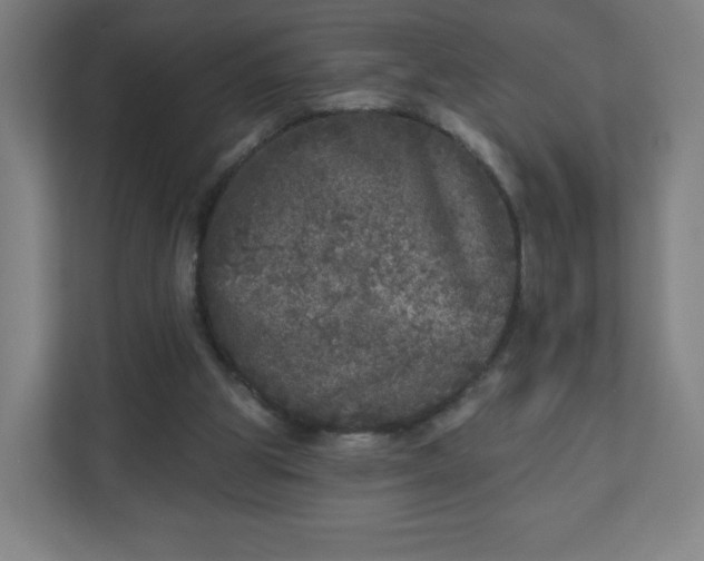X0000110880153200906251255