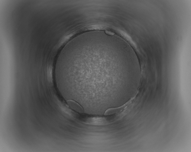 X0000110880154200906251255