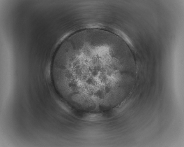X0000110880155200906251256