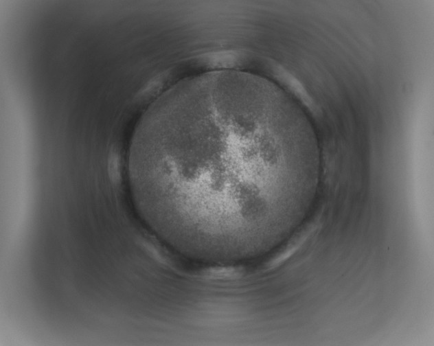 X0000110880161200906251256