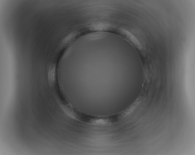 X0000110880163200906251256