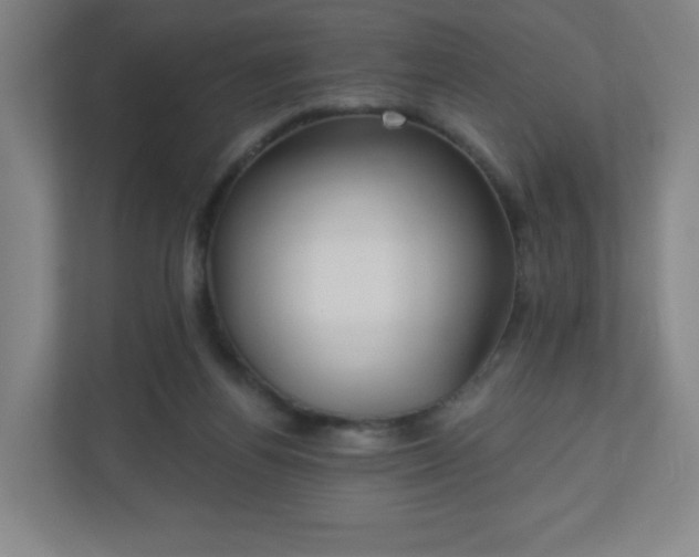 X0000110880164200906251256