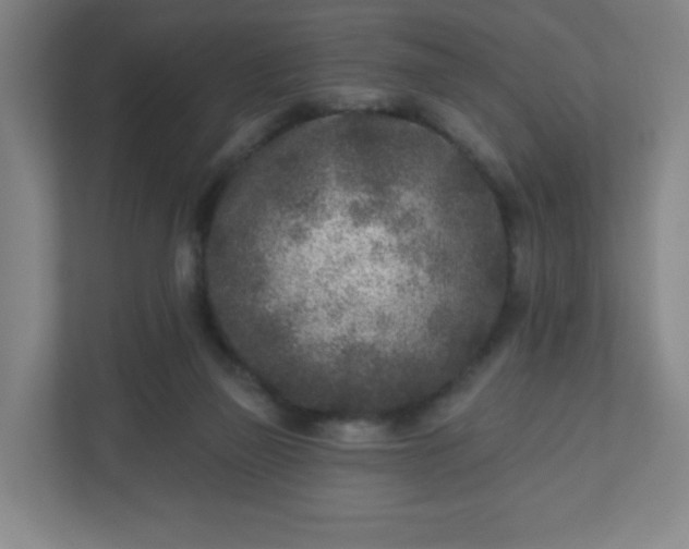 X0000110880165200906251256