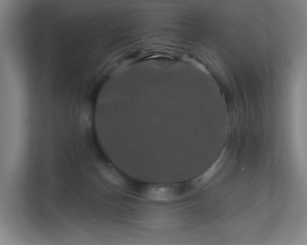X0000110880174200906251256