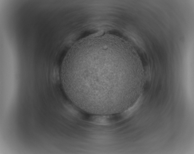 X0000110880182200906251256
