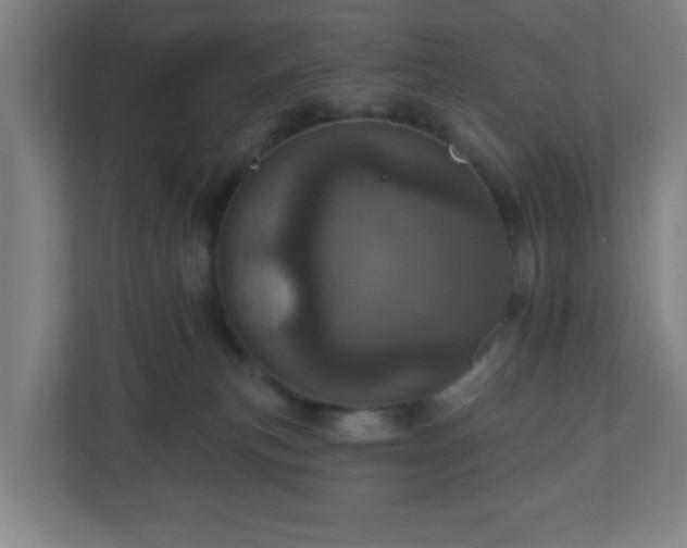 X0000110880183200906251256
