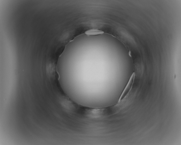 X0000110880184200906251256