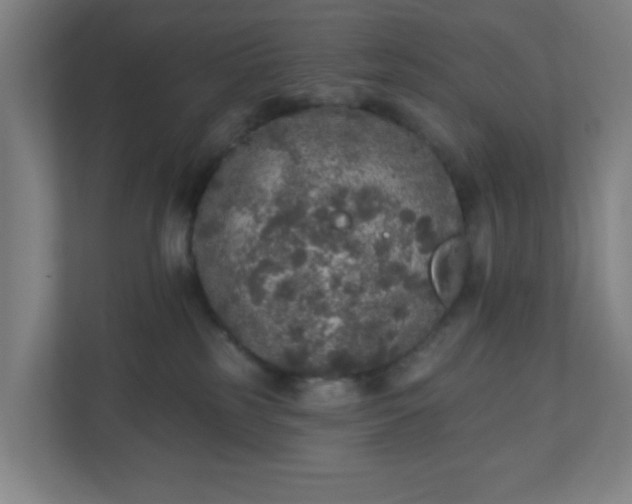 X0000110880185200906251256