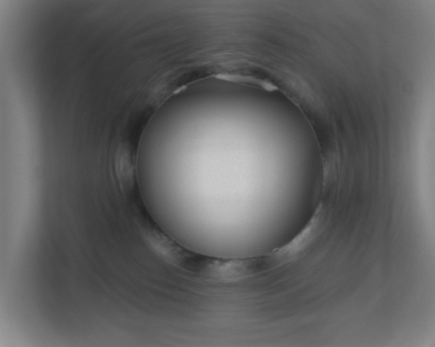 X0000110880186200906251256