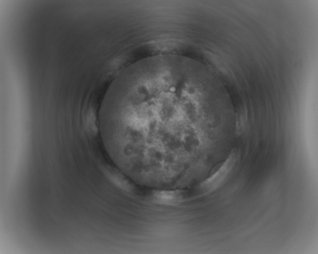 X0000110880187200906251256