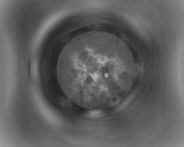 X0000110880189200906251256