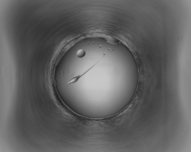 X0000110880193200906251255