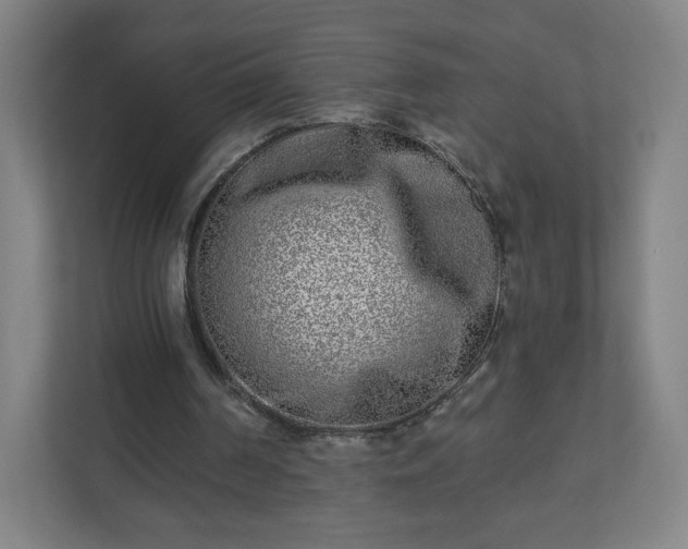 X0000110880194200906251255