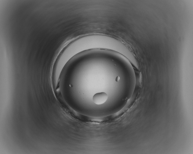 X0000110880195200906251255