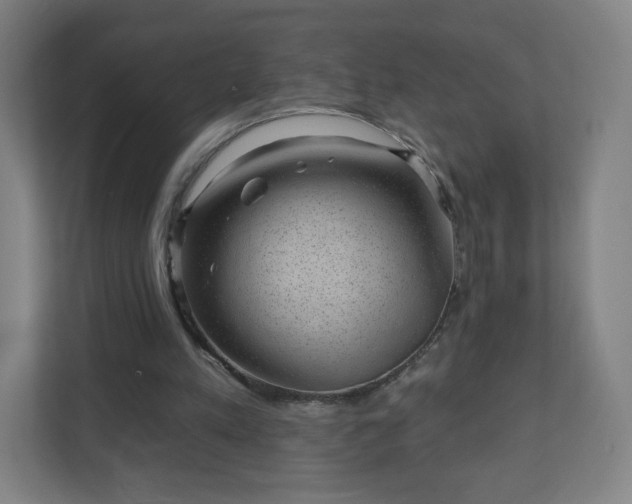 X0000110880197200906251255