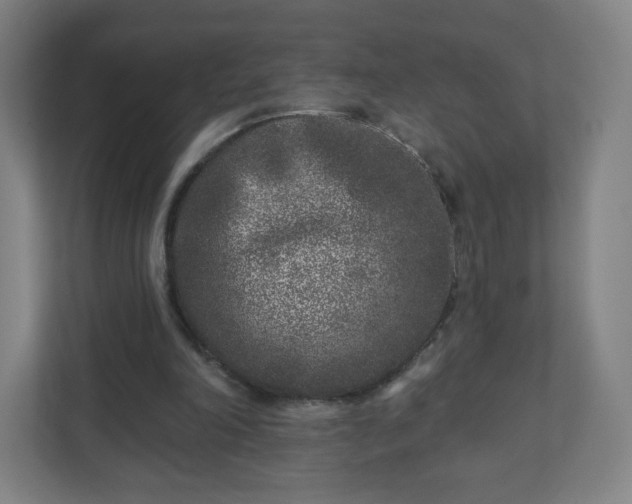 X0000110880198200906251255
